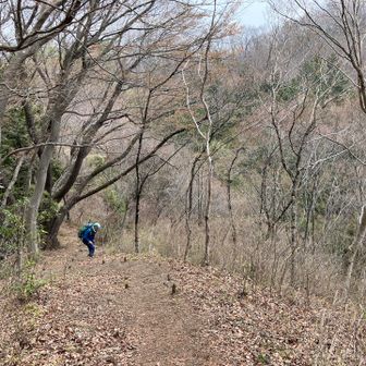 さて、普通の周回コースを少し外れ、グレーピークGETへ🎵
