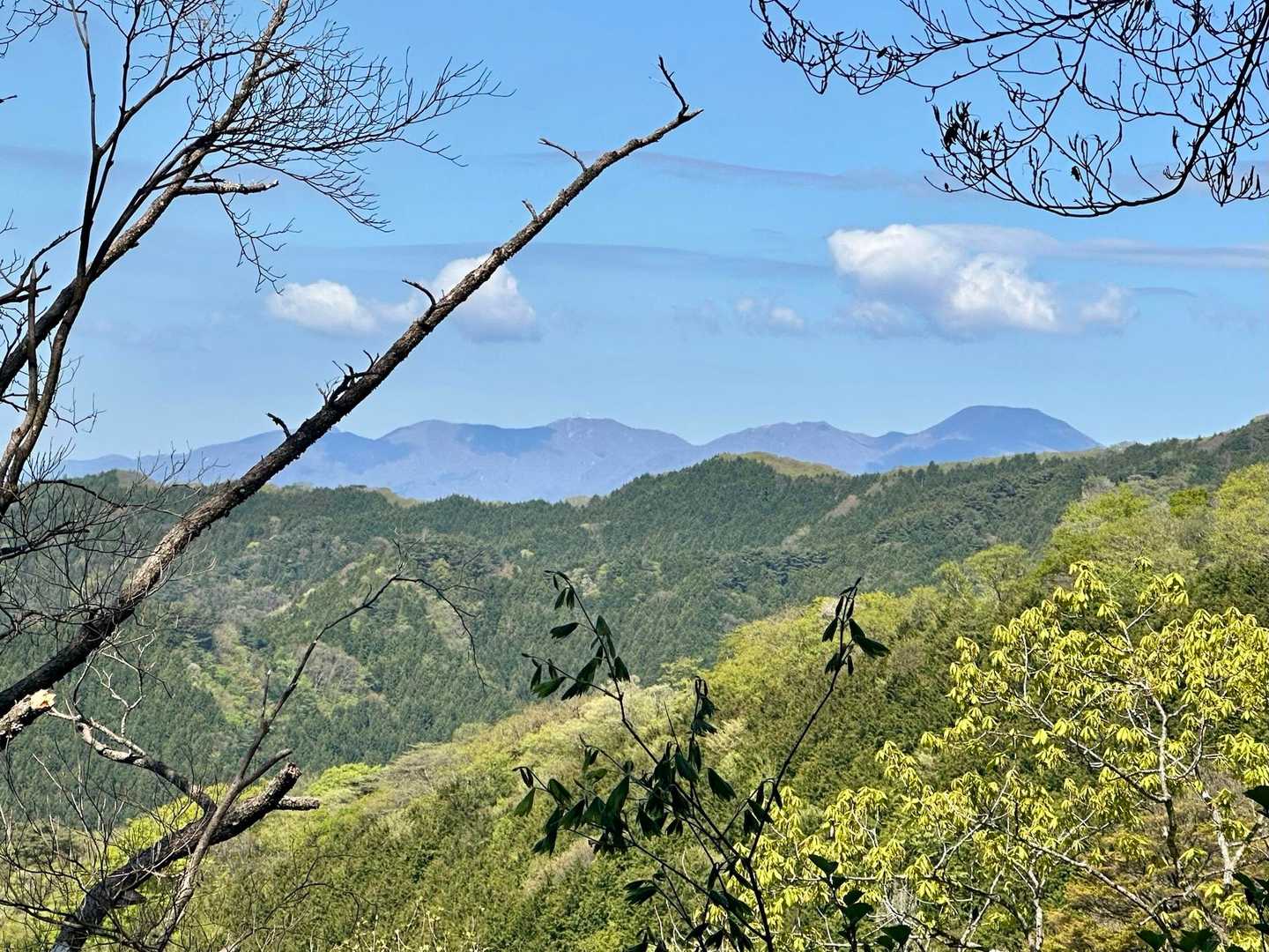 木の隙間から見えた赤城山。見る位置が変わると見え方も変わる。右端が最高峰の黒檜山