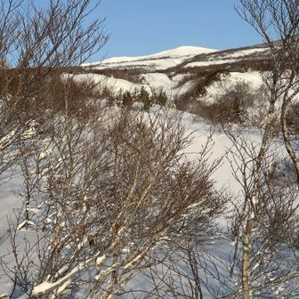 まだ薮があるなー。でもなんとかなりました