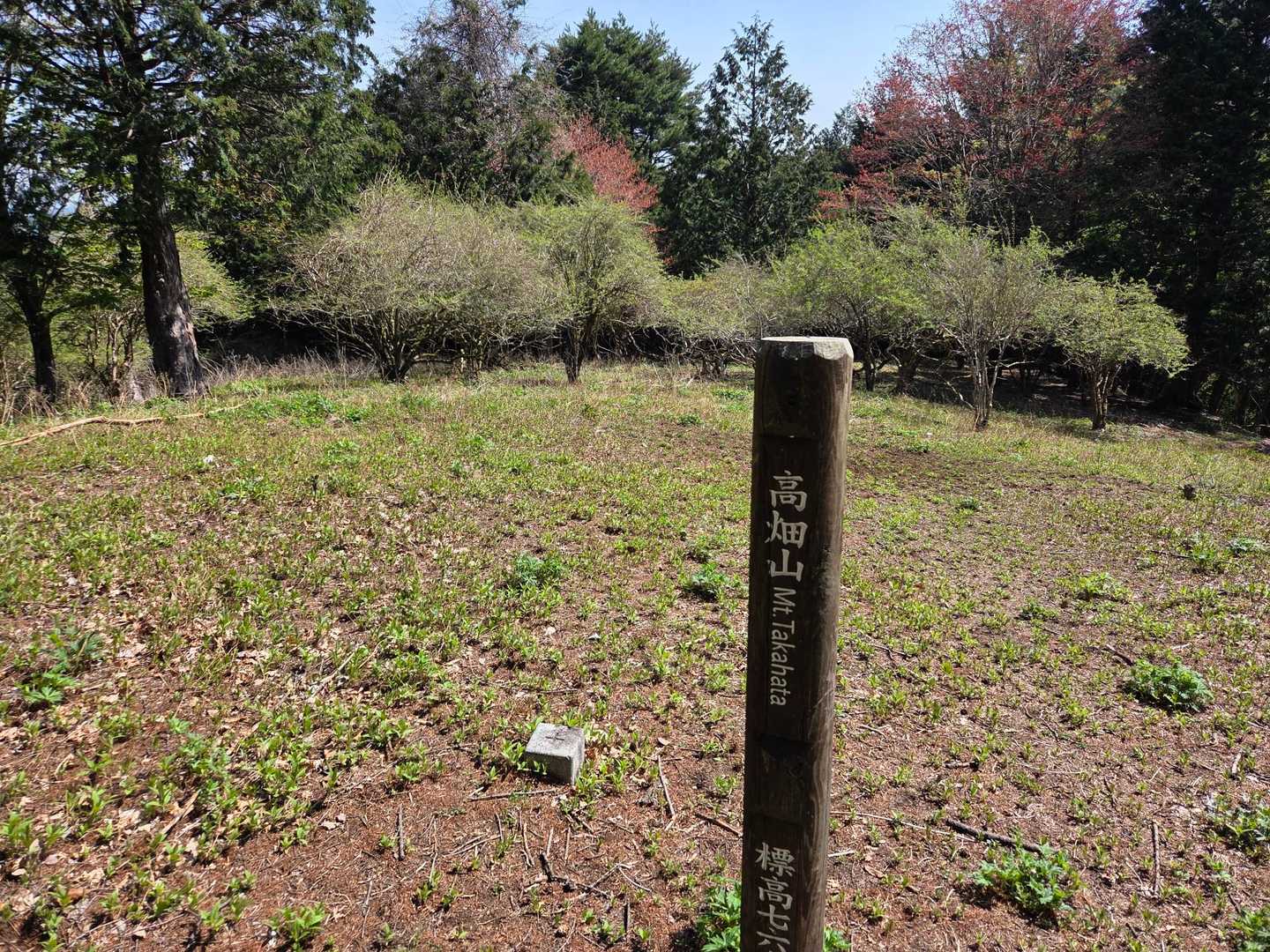 宮ヶ瀬-丹沢山-塔ノ岳-大倉バス停 縦走コース
の写真