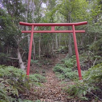 途中に鳥居が😲