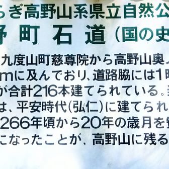 国史跡「高野町石道」解説