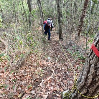 加茂山のロープ場。