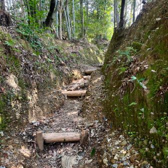 最初はこんな感じ