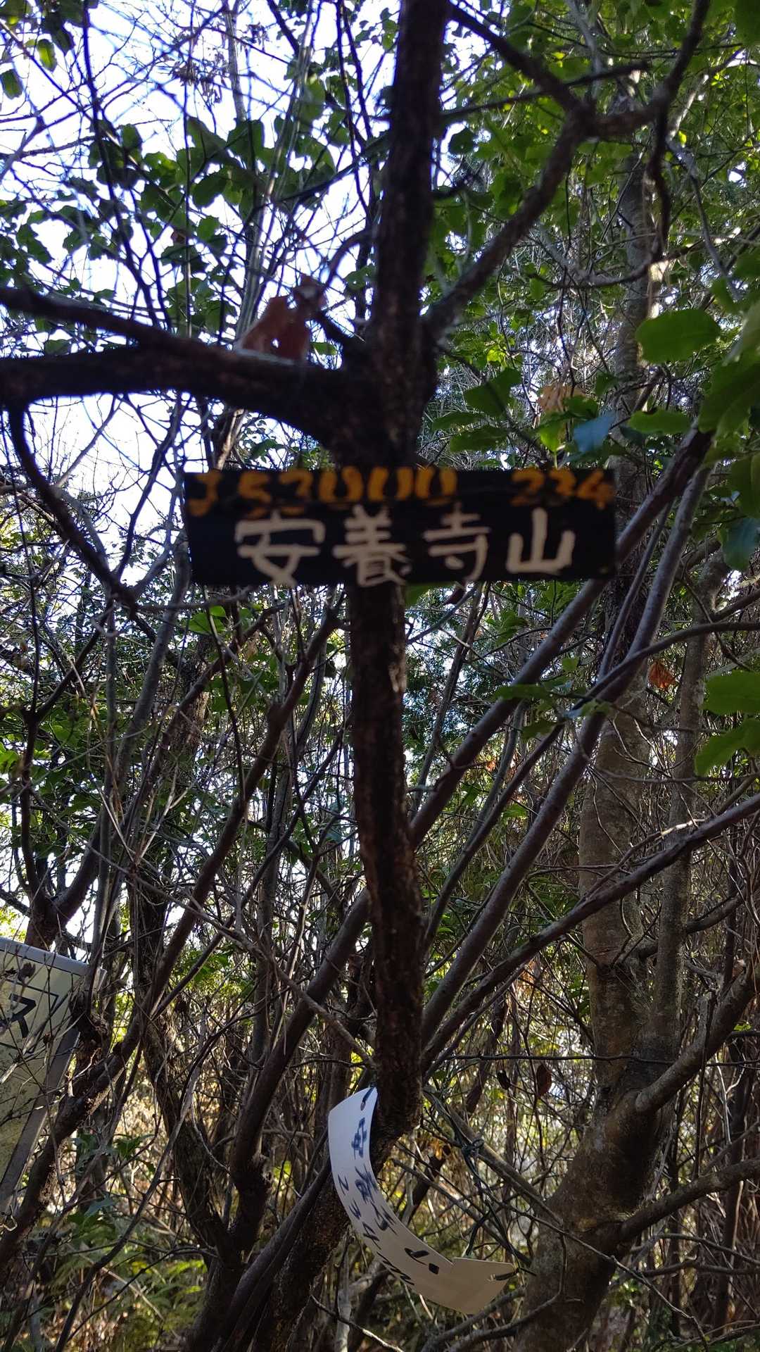山名プレートも😊