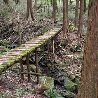 あと何年持つのやら