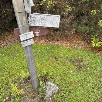 カヤノ山山頂。