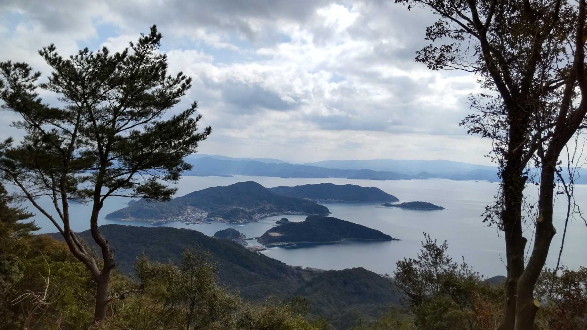 龍ヶ岳 往復コースの写真