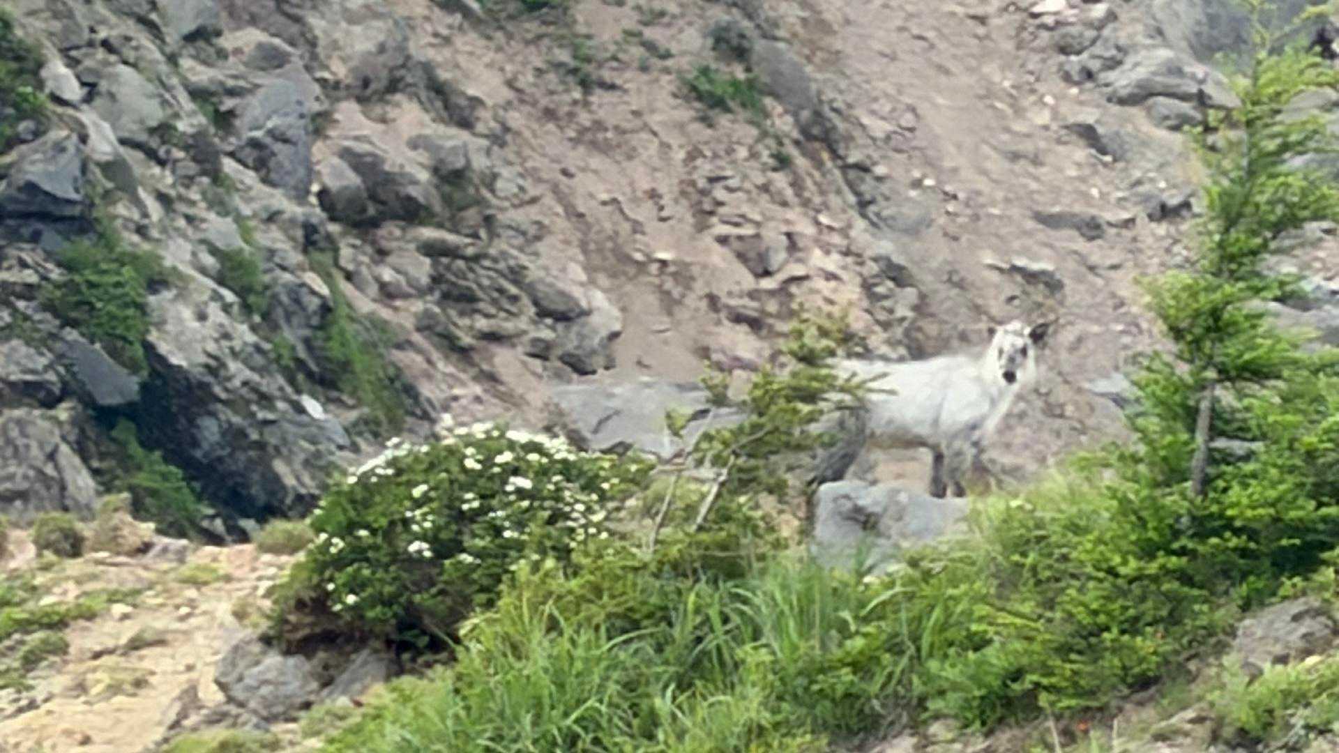 八方台登山口-磐梯山 周回コースの写真