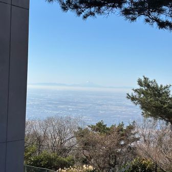 富士山も綺麗に見えた