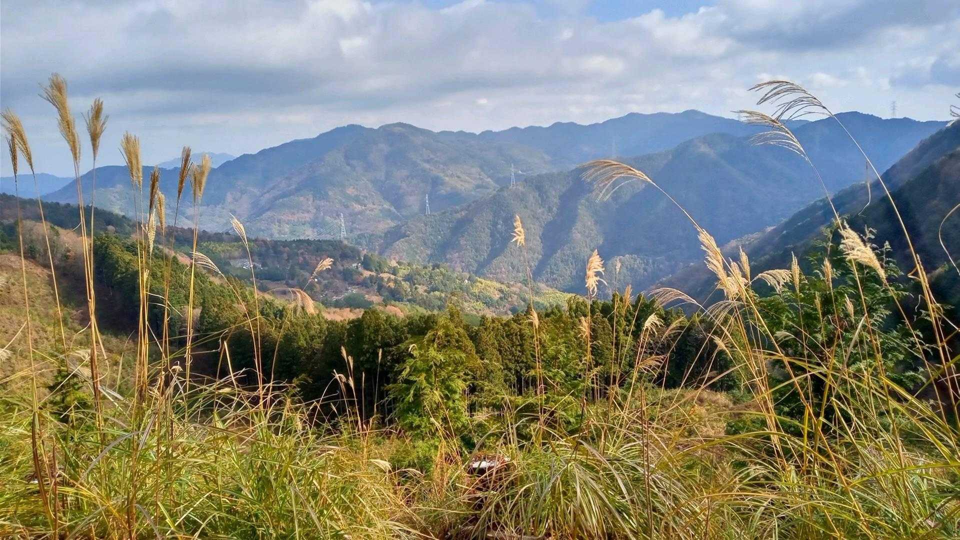 ５号目付近より大滝山方面を望む！