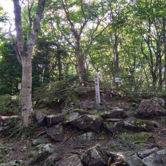 日向岳山頂