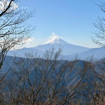 蜂指沢ノ頭からの富士山🗻