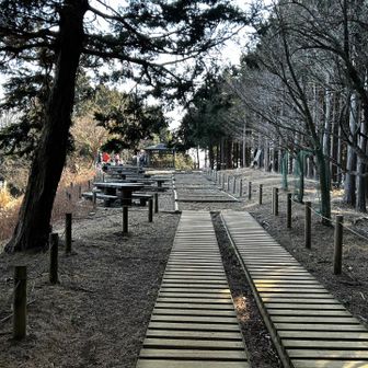 見晴し台も空いてます