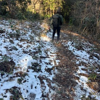 ここら辺はずっと日陰で雪や霜が残ってる！