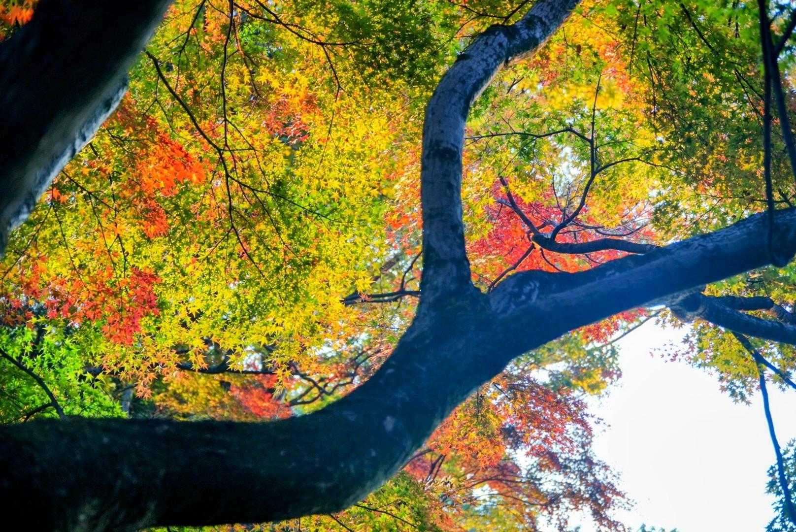 吾妻公園駐車場-吾妻山 往復コースの写真