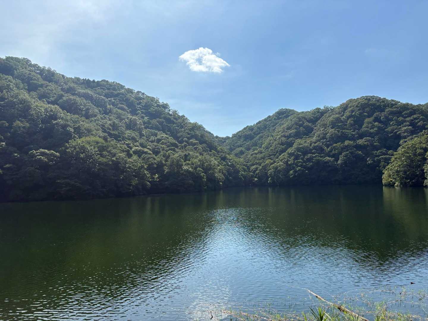 新神戸駅-滝山城跡登山口-杣谷峠-六甲山上バス停-油コブシ 縦走コースの写真