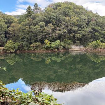 リフレクション笑
湖面に映った頂上にちょうど枯葉が良い感じに🤣
今日は無事に下山できて良かったです🙏
これからも無理せずちょこちょこ登れたら良いな🥹⭐️
ありがとうございました！
おつかれやまでした⛰️✨