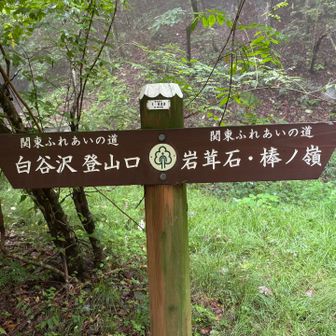 関東ふれあいの道！