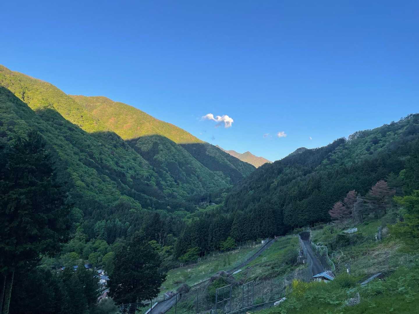 飛龍山（丹波バス停）＜ミサカ尾根＞の写真