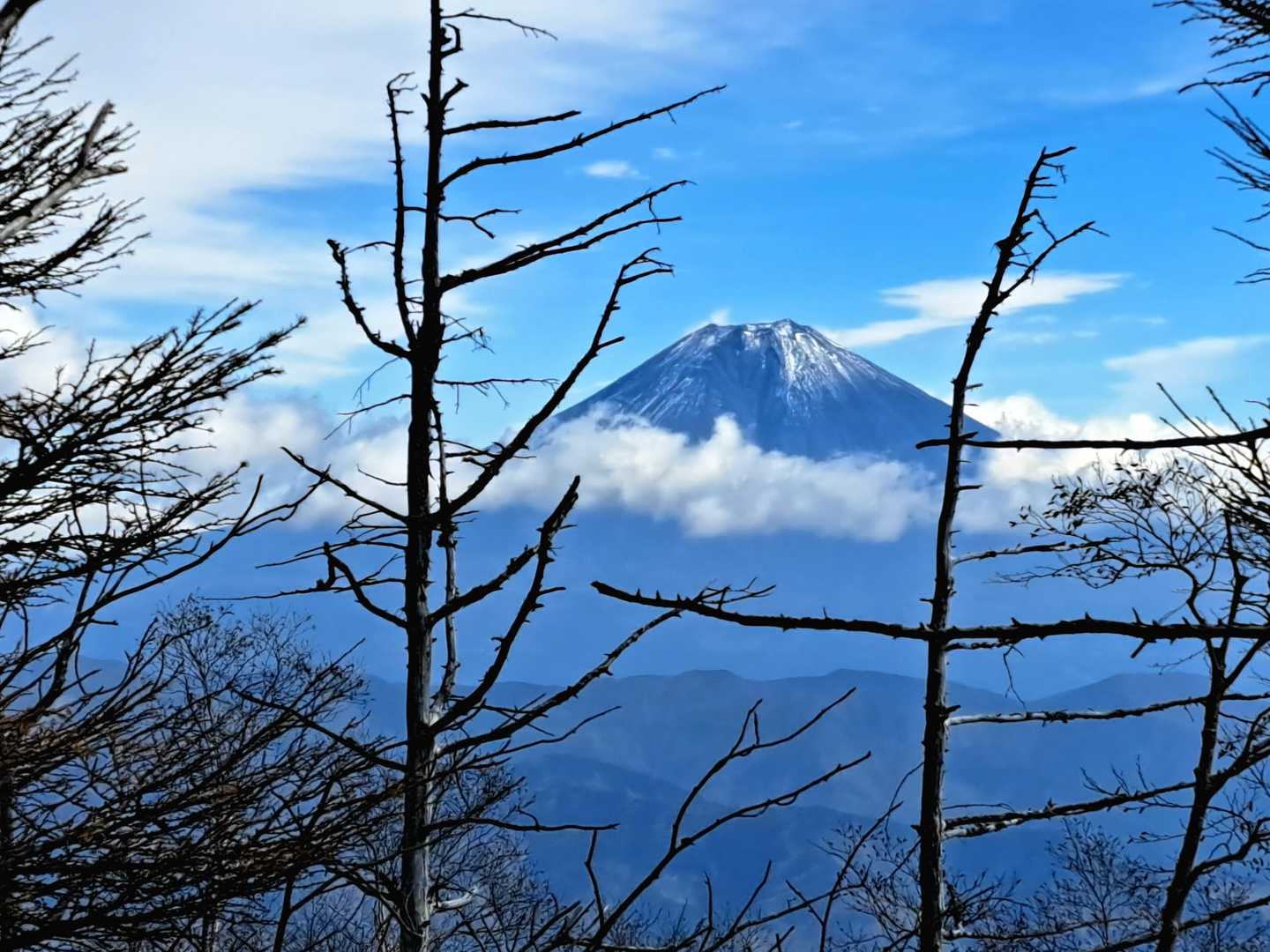 フジサン🗻
中腹に雲でてきました