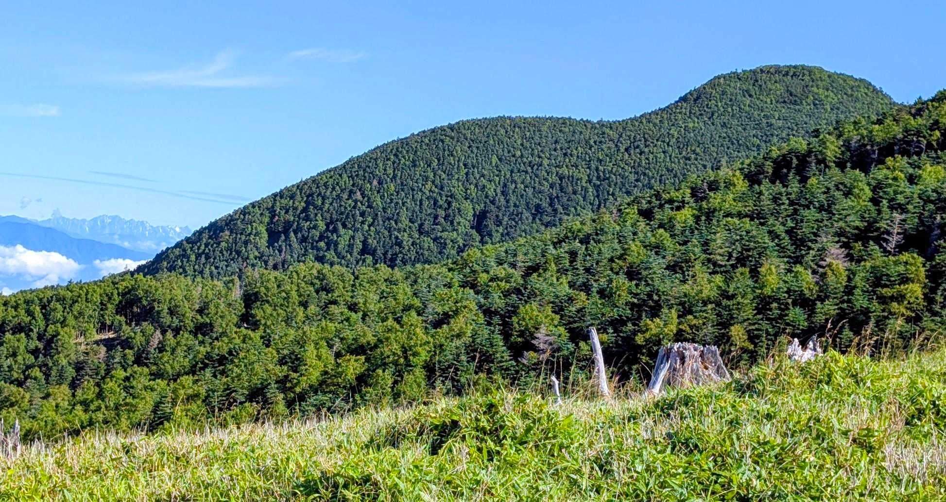 二児の山へ！
奥にギリ穂高岳が！