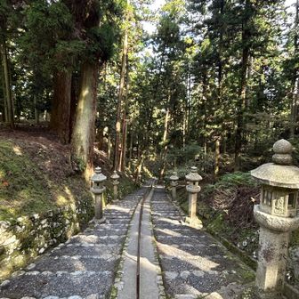美しい参道