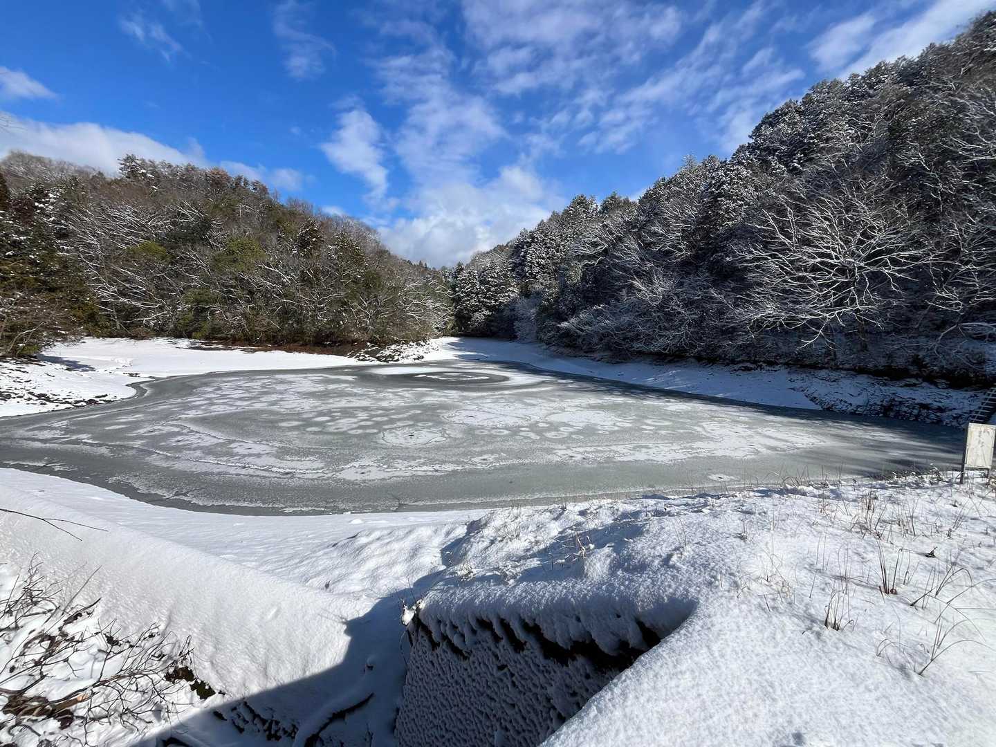 凍っているか気になり池まで出張します。
やはり、凍ってました🧊