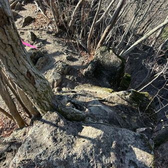 戻ってジジ岩ババ岩へ
痩せ尾根でキレ落ちてる箇所があり注意⚠️
