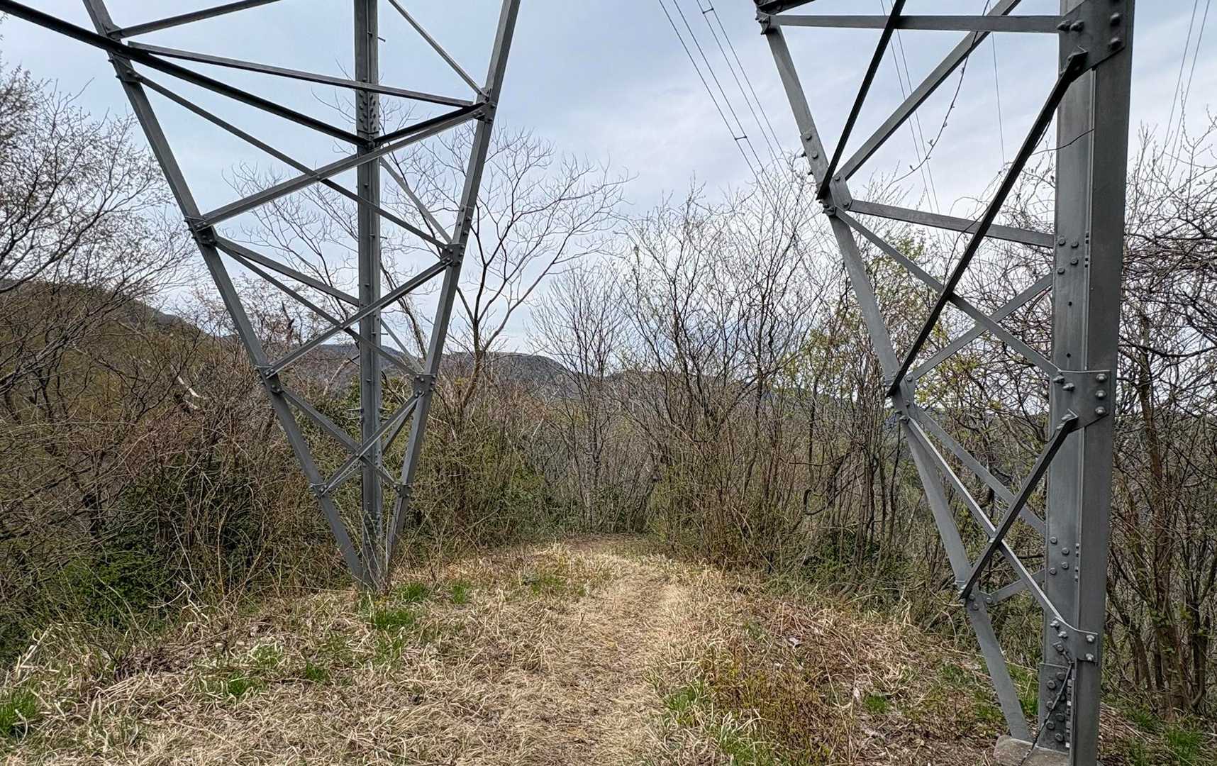 やっと鉄塔💦