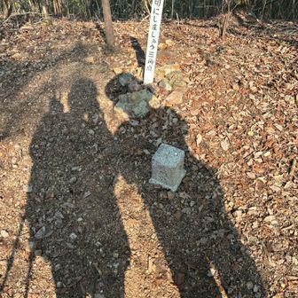 百々ヶ峰西峰△ 山名札は見当たらなかった✌️