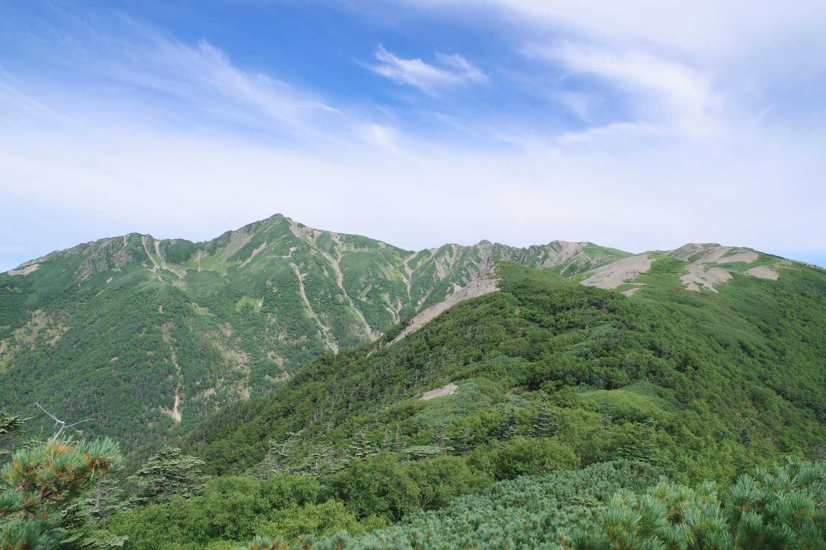塩見が素晴らしい