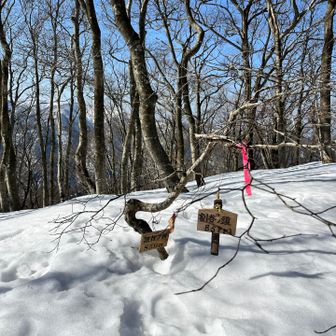 通過してしまったのでちょっと戻り、ここでお昼ご飯🍴
