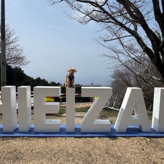 HIEIZAN

正面からだと「ラボを探せ」みたいになってしまい…