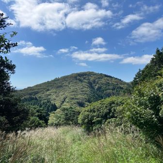 折り返して再度ツームシ山へ