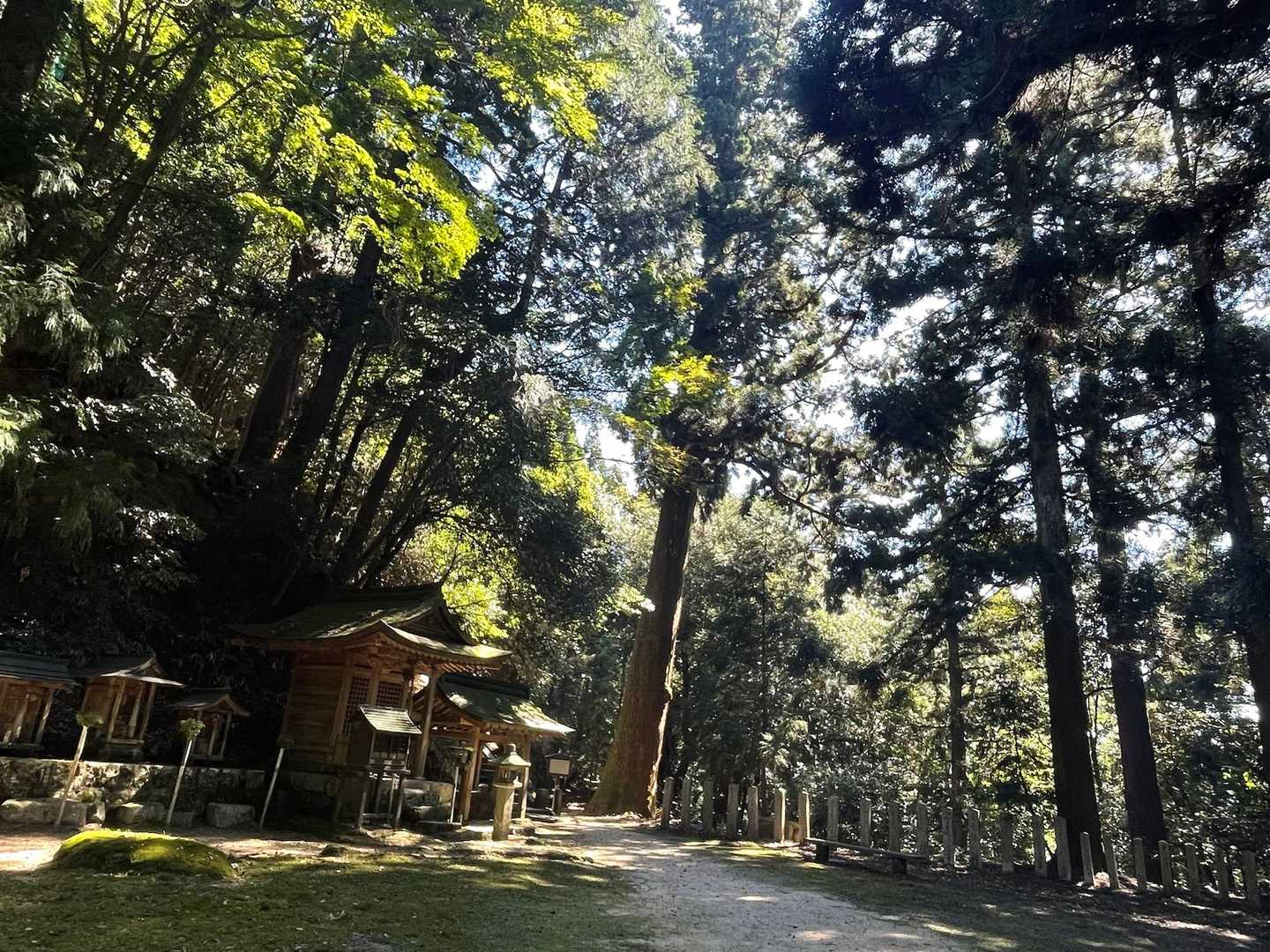 お堂の上が山頂