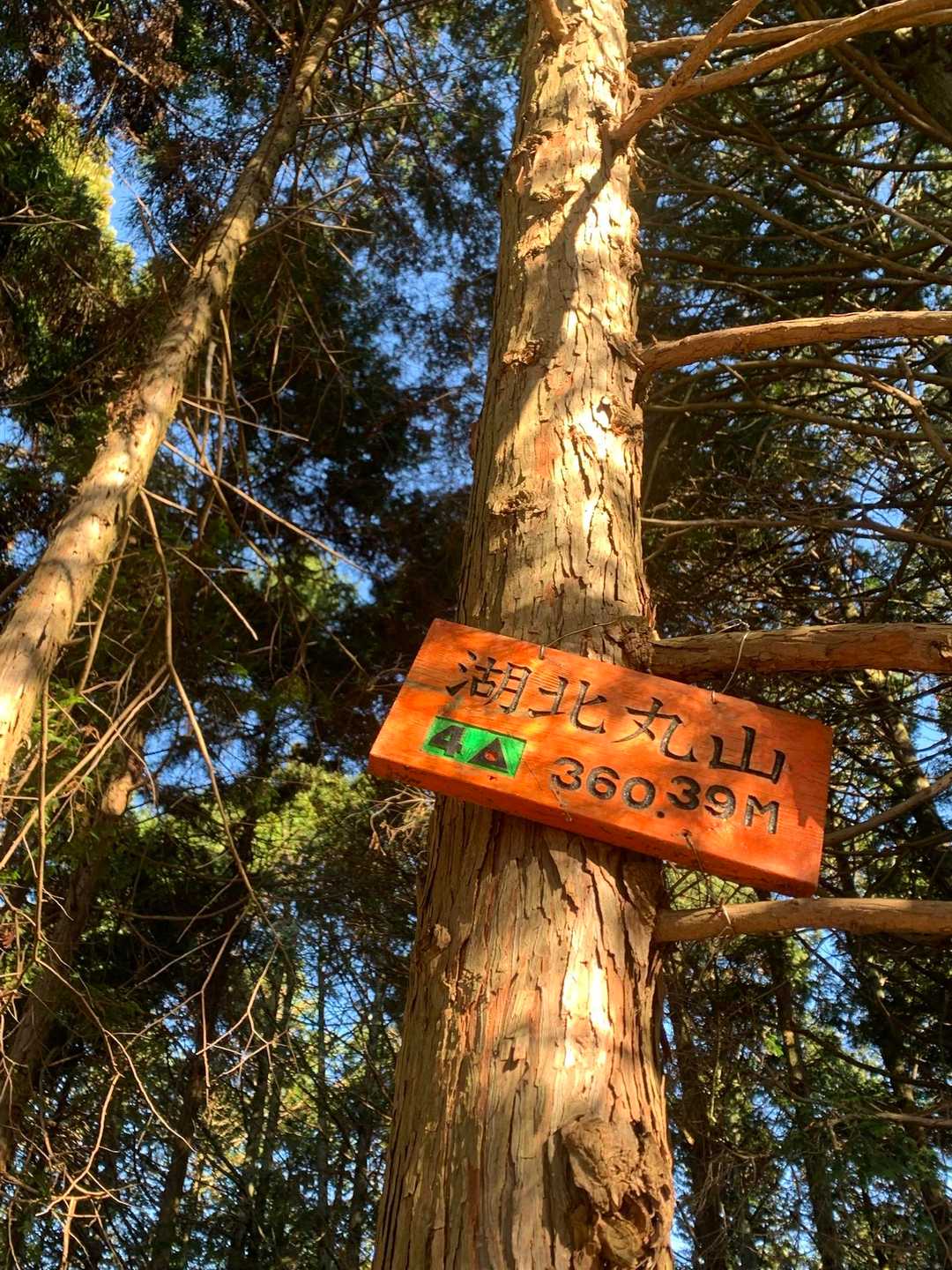 山本山-熊野越-西野峠-西野山-湖北丸山-賤ヶ岳-賤ヶ岳登 縦走コースの写真
