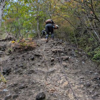 バラ尾根の鎖場。
Hさんスルスル下りて来ます