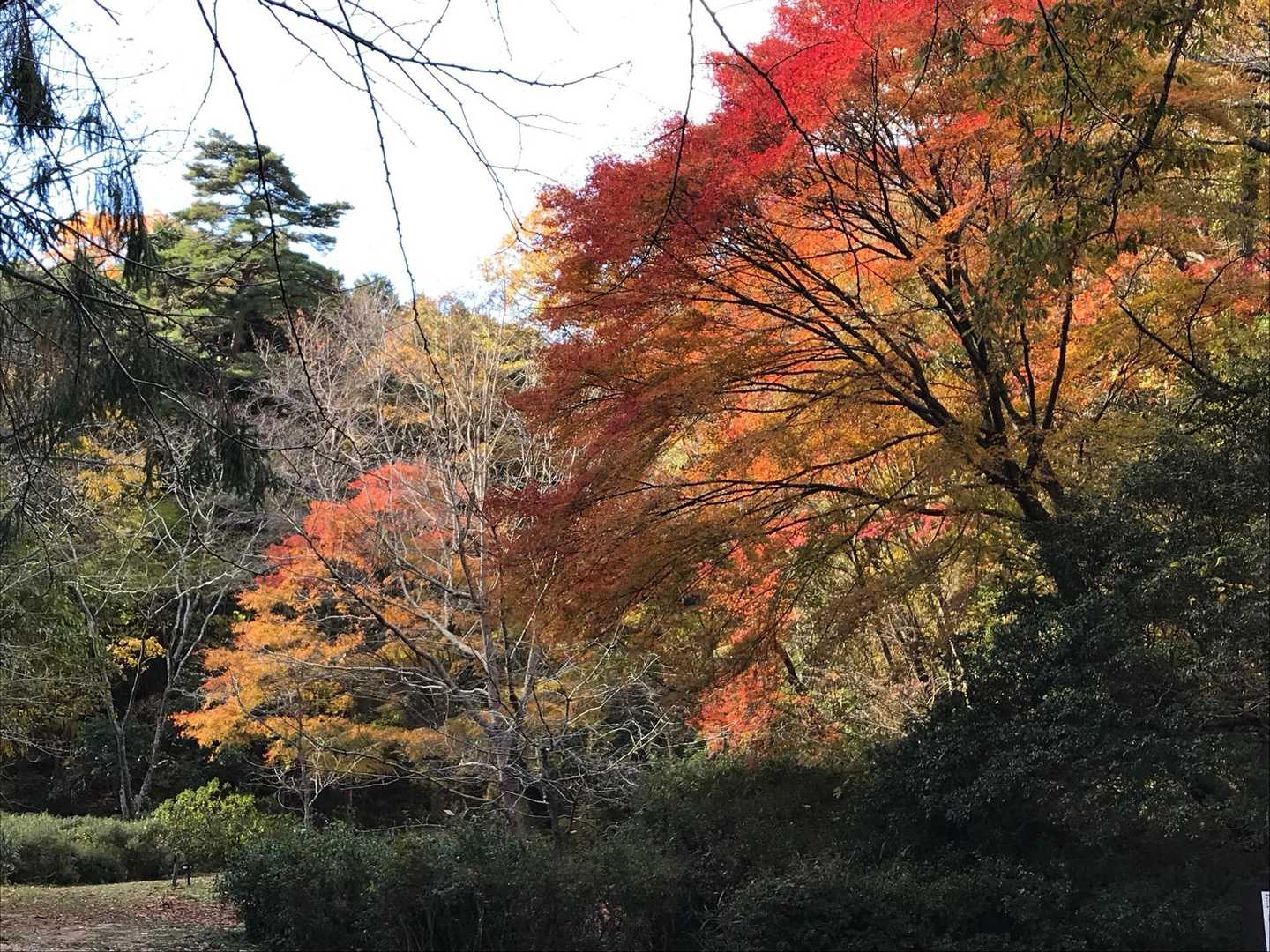 ちょっと曇ってきた💦