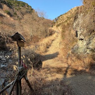 分岐。愛鷹山登山口。