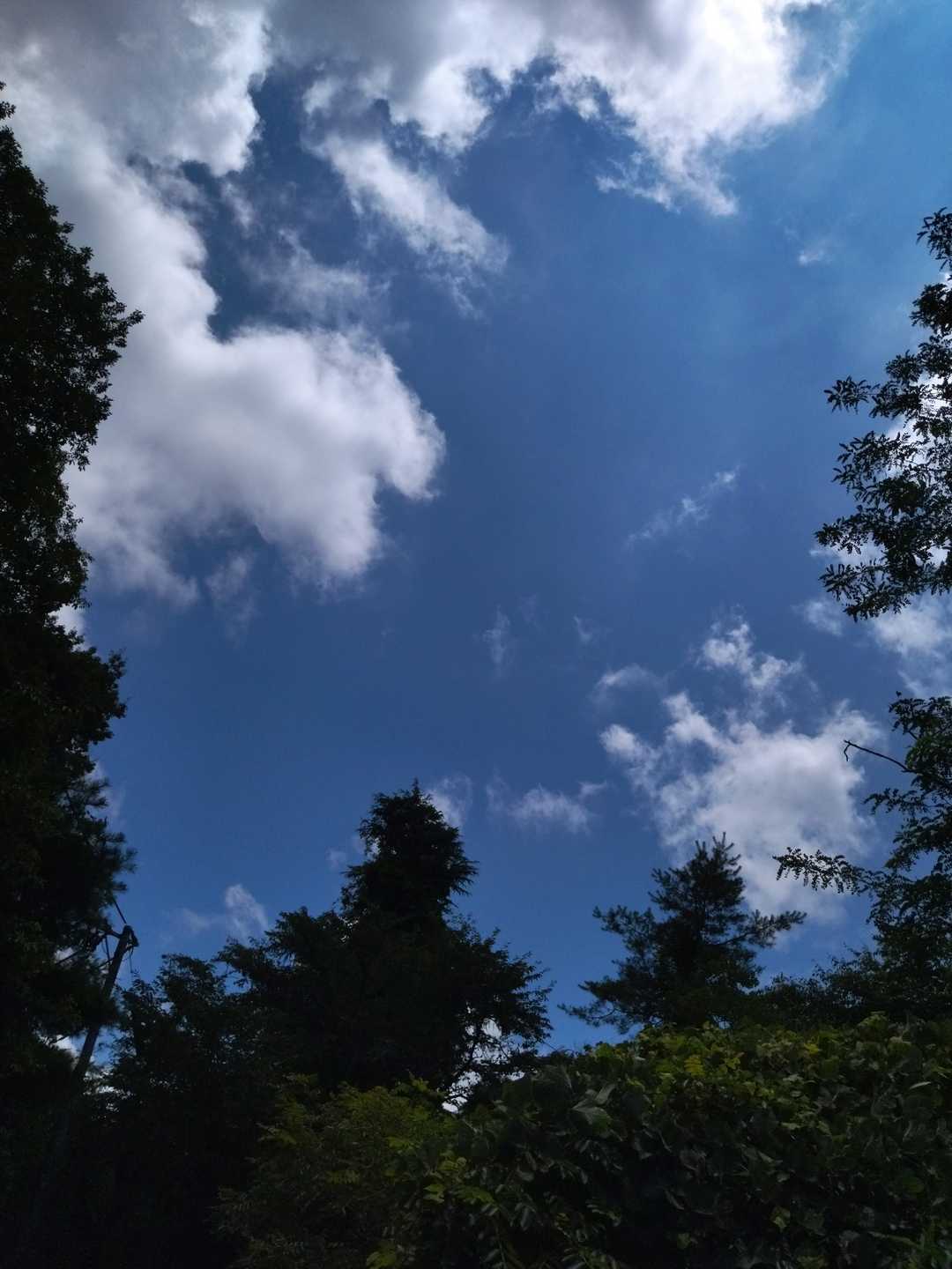 天気良くなって嬉しい☀