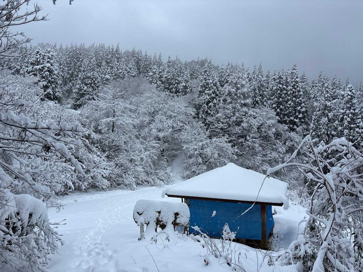 あずま屋