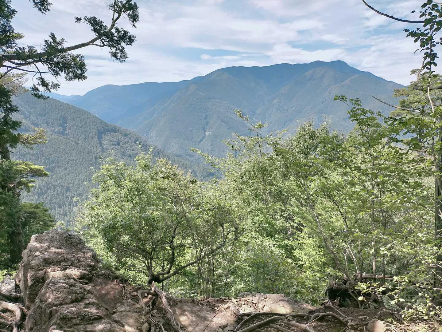 愛宕山-鋸山 往復コースの写真