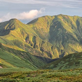 朝日に照らされて✨