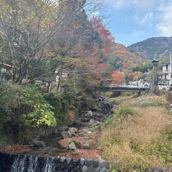 駐車場近くの眺め