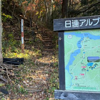 赤沢バス停まで降りてきました
階段があるのですが落ち葉で埋もれていて、横の杭に気をつけねば