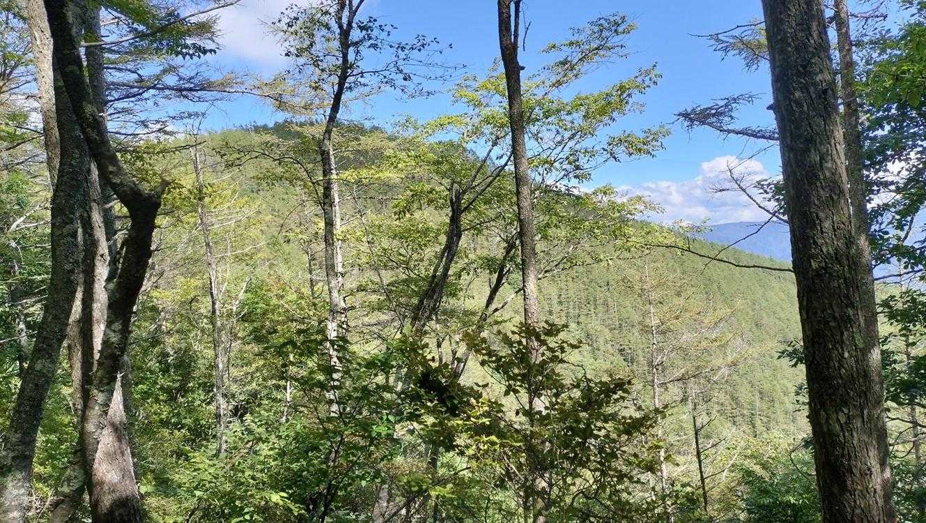 戻り道のステキロードから小楢山がチラリズム。いいところだったね～！