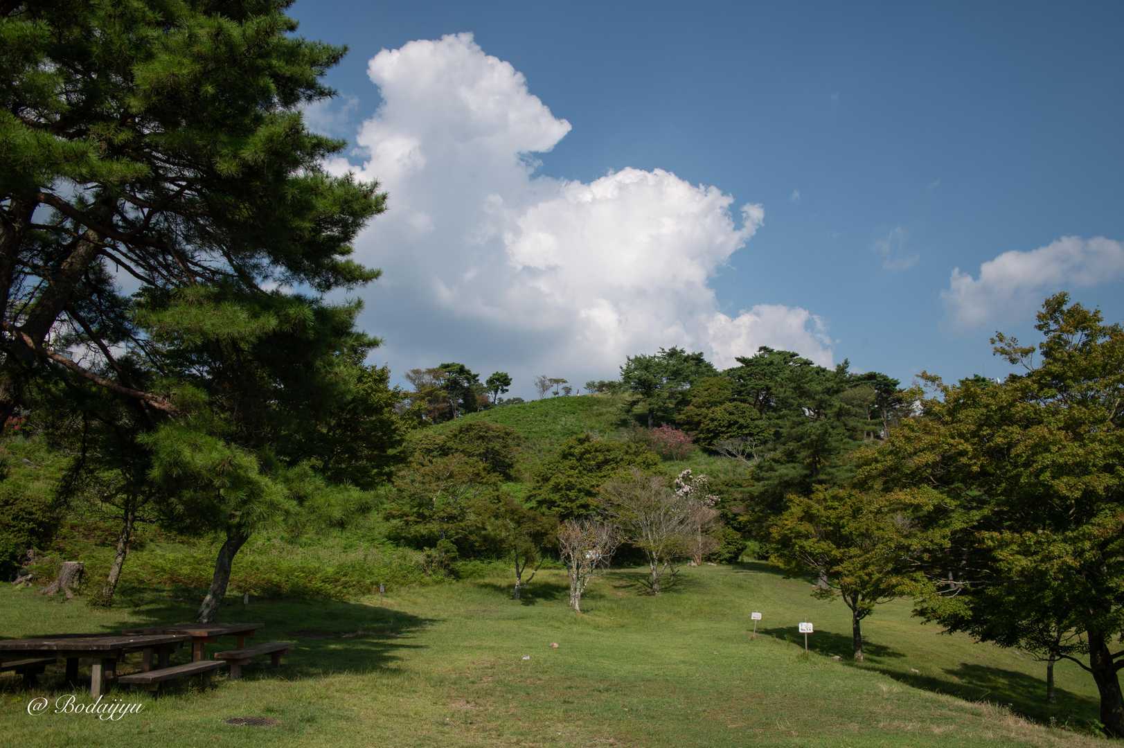 大野アルプスランド