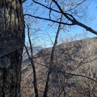 続いてカンバ沢の頭通過。高川山からここまで約30分ほど