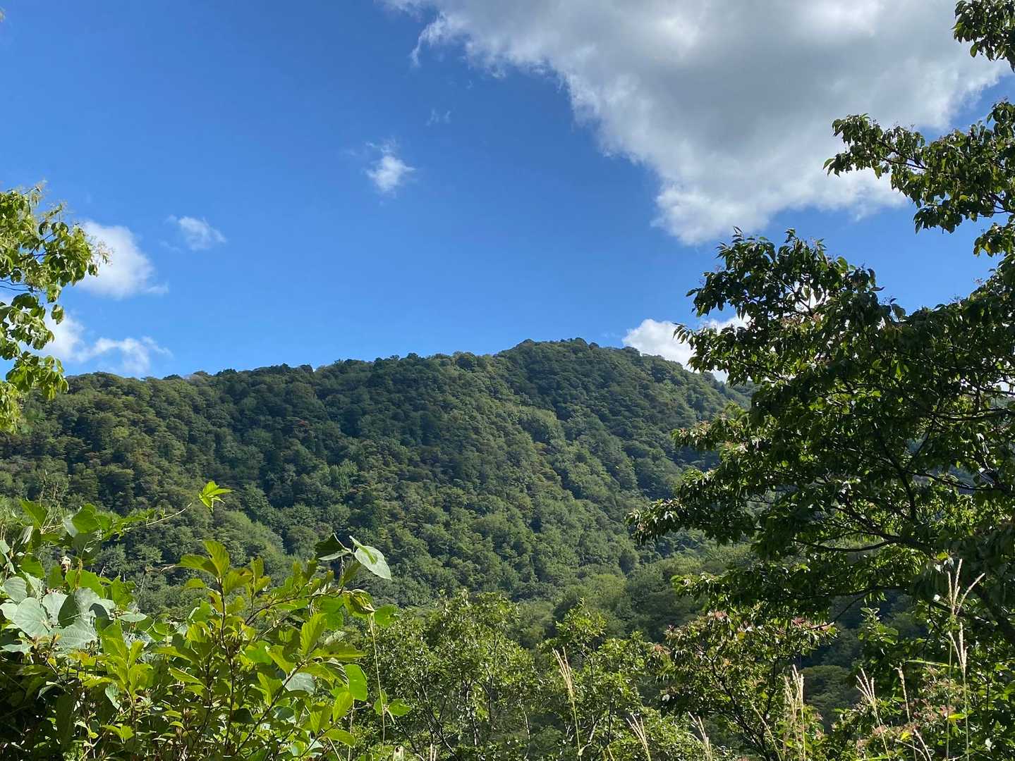 先輩が次に登りたい山、黒瀑山（くろたきやま）が見えました。看板には『熊🐻の棲家』と書いてありました😅